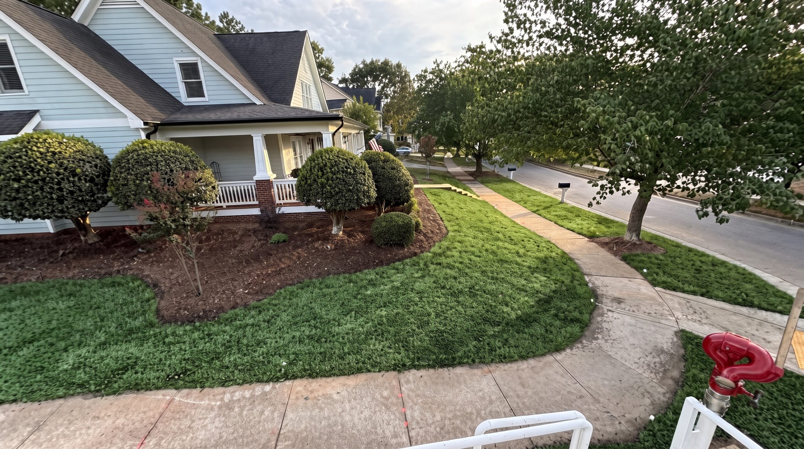 Established lawn 60 days after hydroseeding in Chatham County, NC