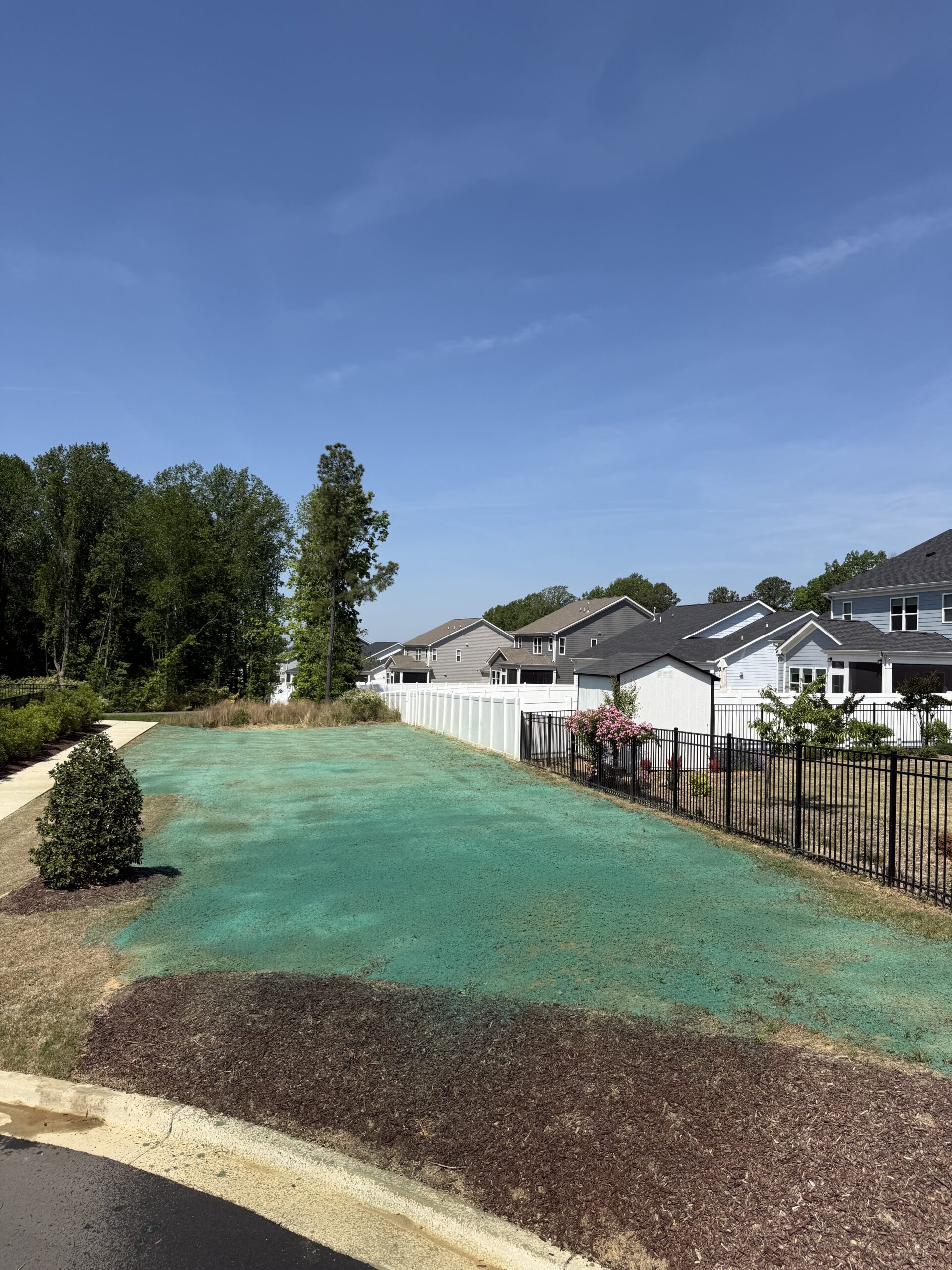 New lawn — Mebane — hydroseeding by NC Lawnstar in Alamance County, NC