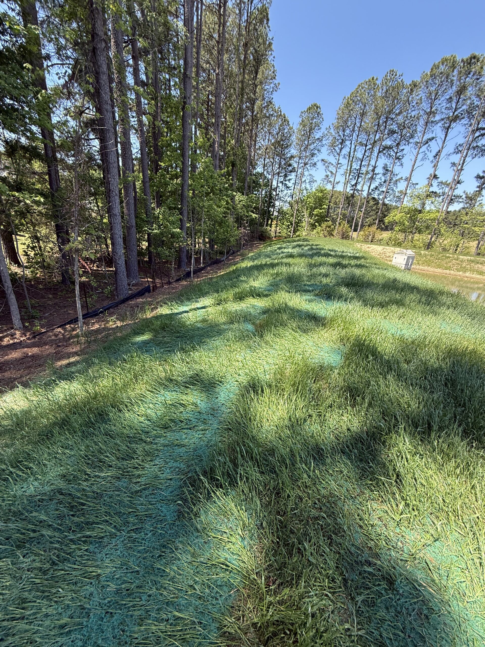 Overseed — Elon — hydroseeding by NC Lawnstar in Alamance County, NC