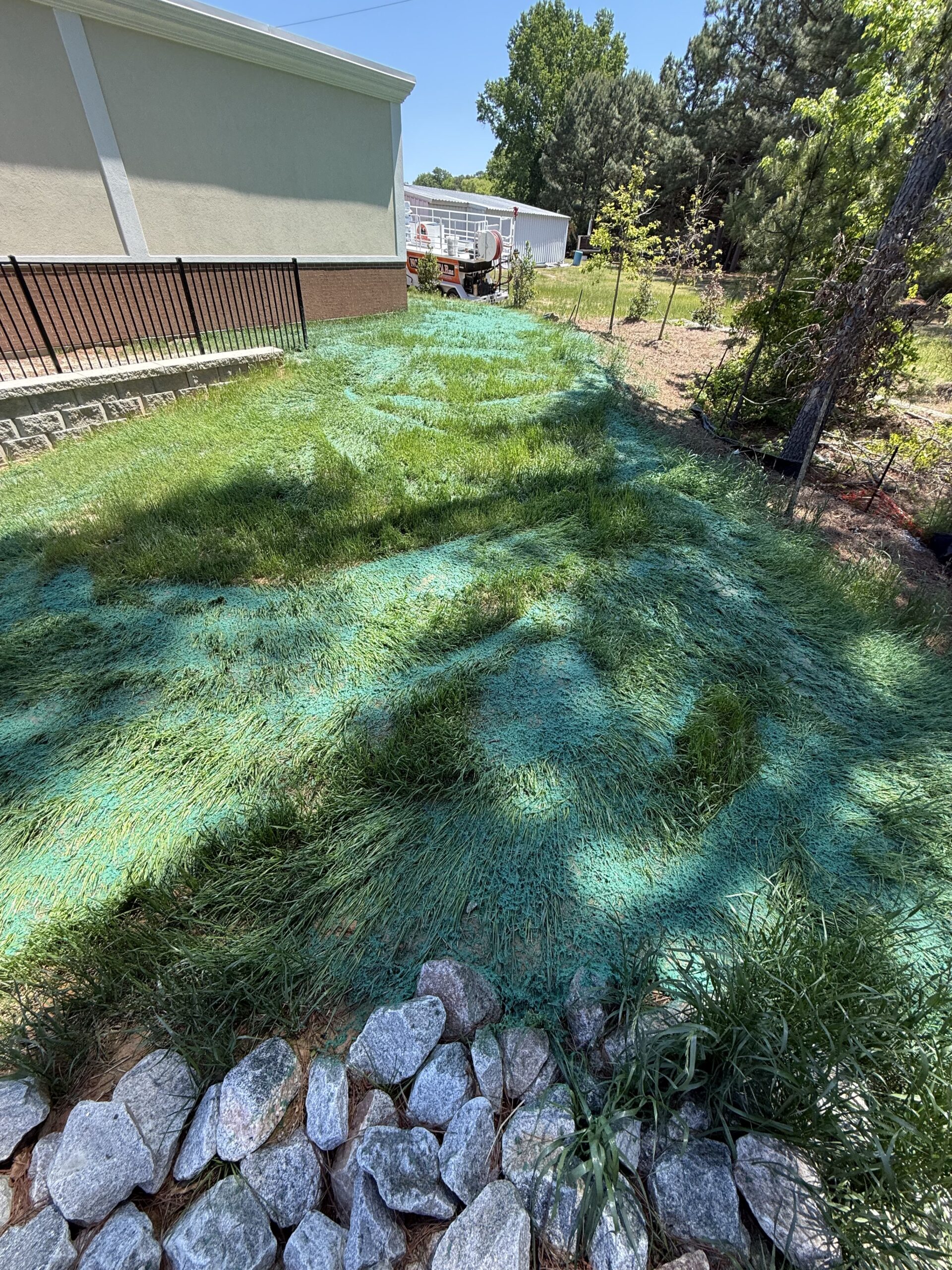 Drain field — Silk Hope — hydroseeding by NC Lawnstar in Chatham County, NC