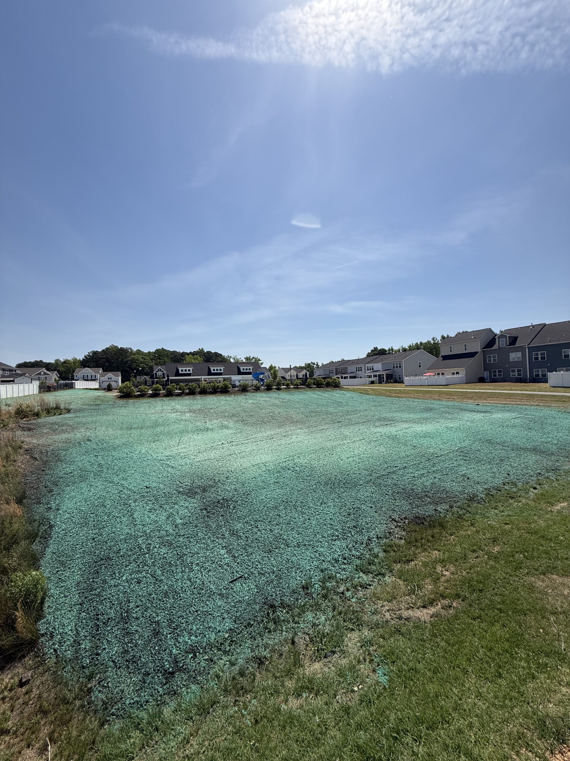New lawn — Briar Chapel — hydroseeding by NC Lawnstar in Chatham County, NC