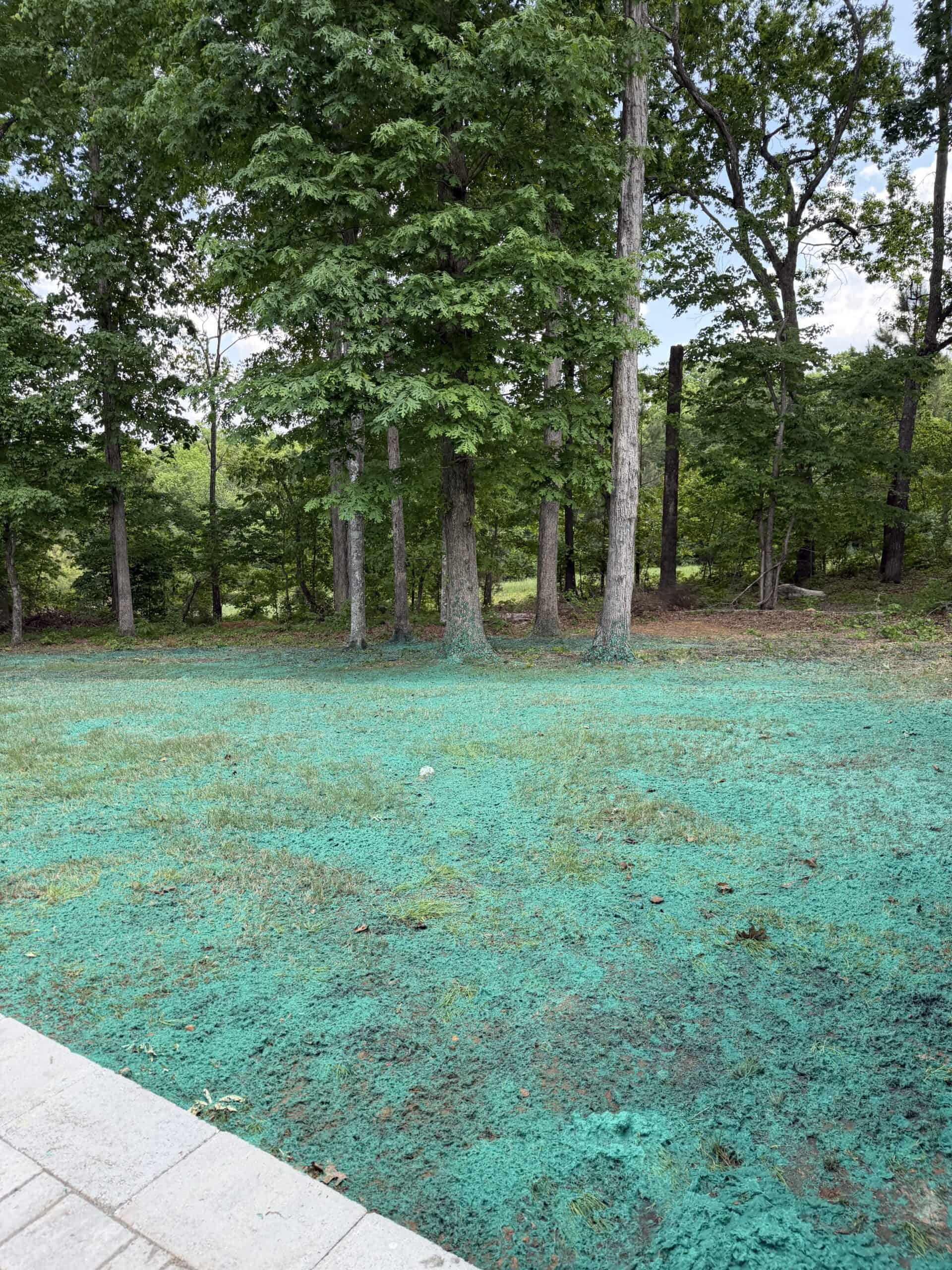 Renovation — Burlington — hydroseeding by NC Lawnstar in Alamance County, NC