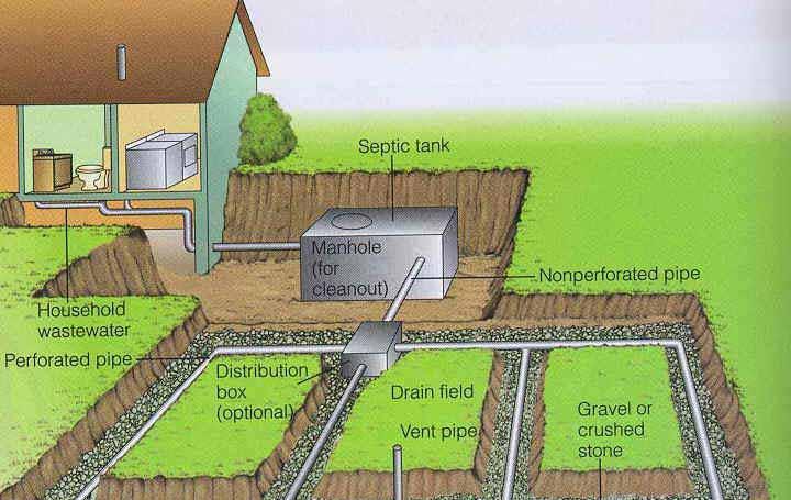drain field