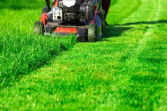 Day 35 — first mow, Goldston — hydroseeding in Chatham County, NC
